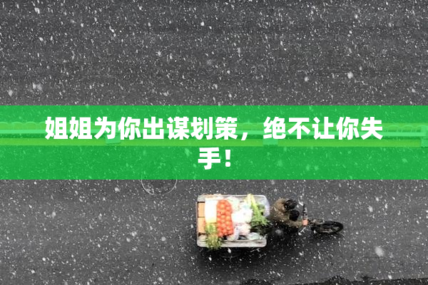姐姐为你出谋划策，绝不让你失手！