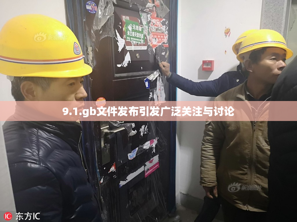 9.1.gb文件发布引发广泛关注与讨论
