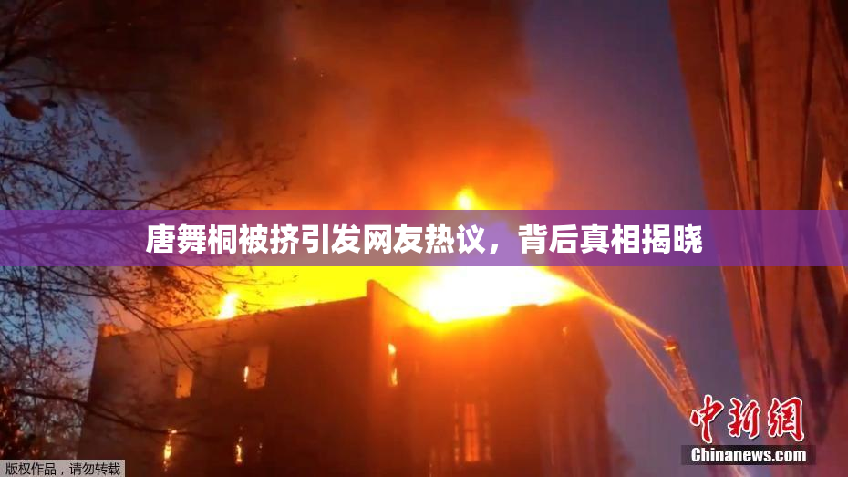 唐舞桐被挤引发网友热议，背后真相揭晓