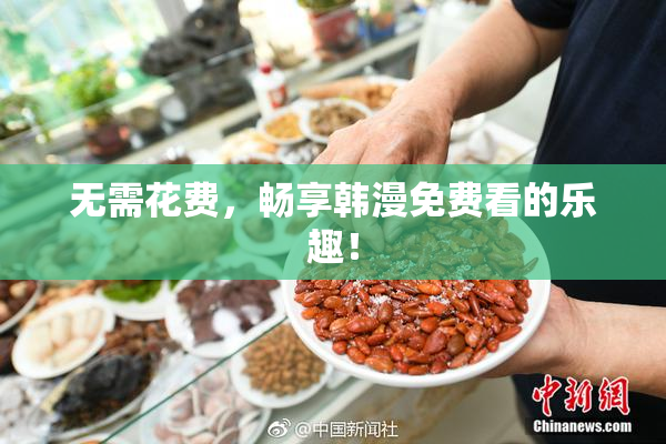 无需花费，畅享韩漫免费看的乐趣！