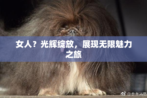 女人？光辉绽放，展现无限魅力之旅