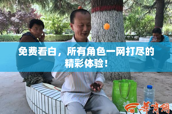 免费看白，所有角色一网打尽的精彩体验！