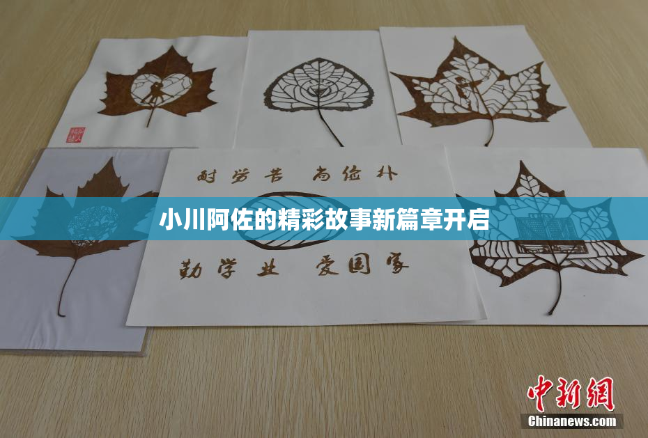 小川阿佐的精彩故事新篇章开启