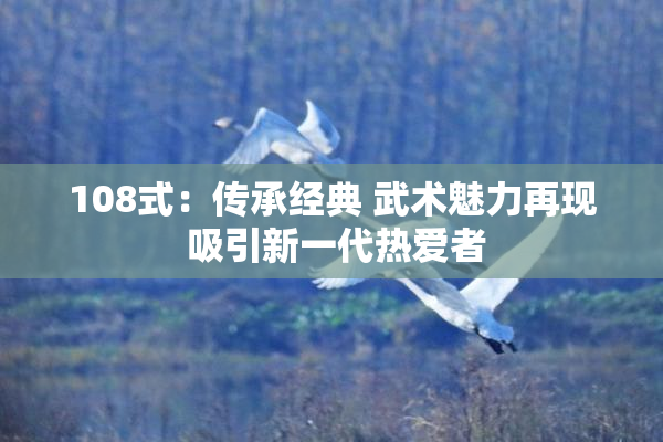 108式：传承经典 武术魅力再现 吸引新一代热爱者