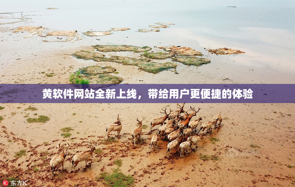 黄软件网站全新上线，带给用户更便捷的体验