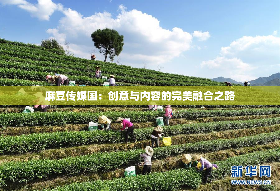麻豆传媒国：创意与内容的完美融合之路