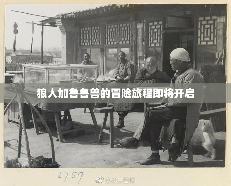 狼人加鲁鲁兽的冒险旅程即将开启