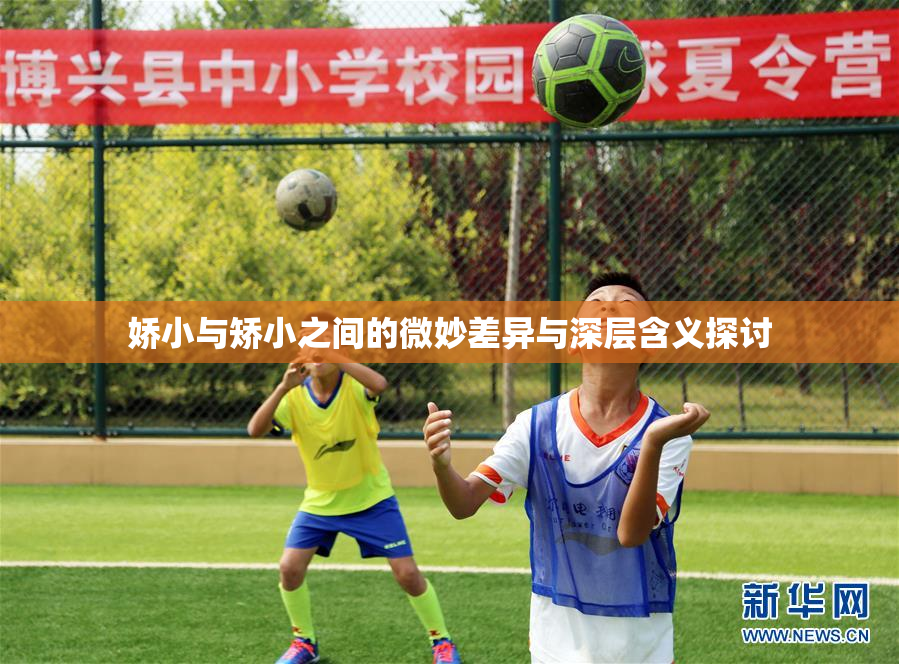 娇小与矫小之间的微妙差异与深层含义探讨