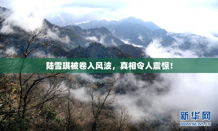 陆雪琪被卷入风波，真相令人震惊！