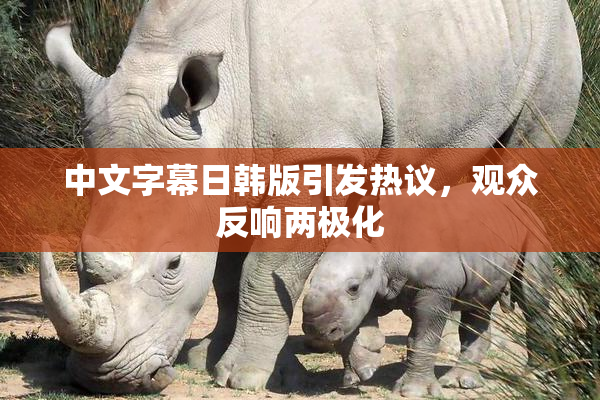 中文字幕日韩版引发热议，观众反响两极化