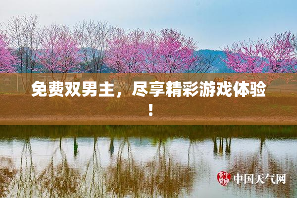 免费双男主，尽享精彩游戏体验！
