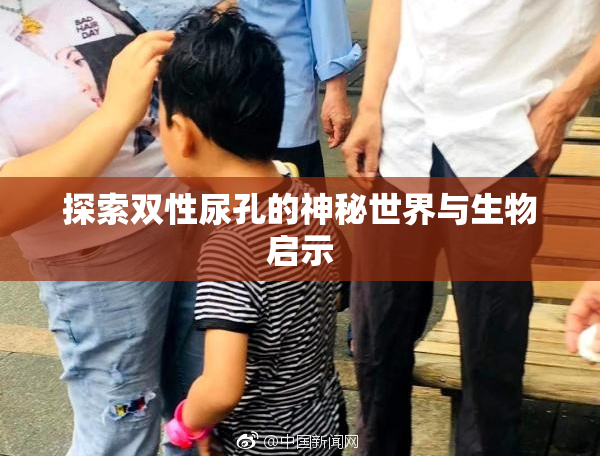 探索双性尿孔的神秘世界与生物启示