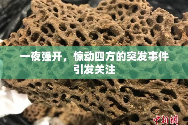 一夜强开，惊动四方的突发事件引发关注