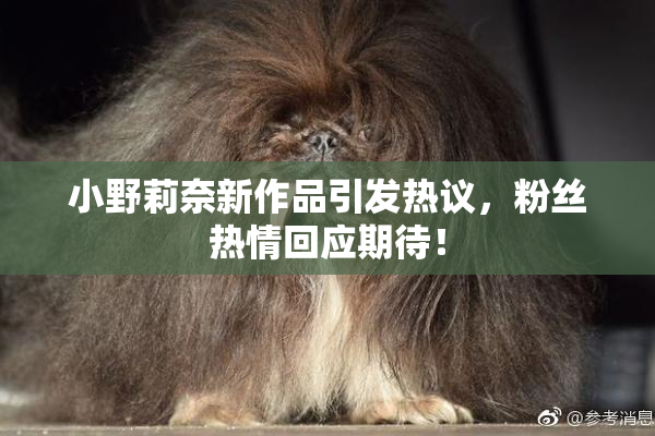 小野莉奈新作品引发热议，粉丝热情回应期待！
