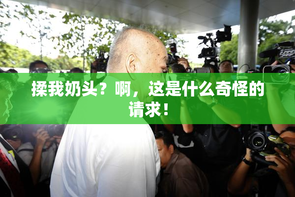 揉我奶头？啊，这是什么奇怪的请求！