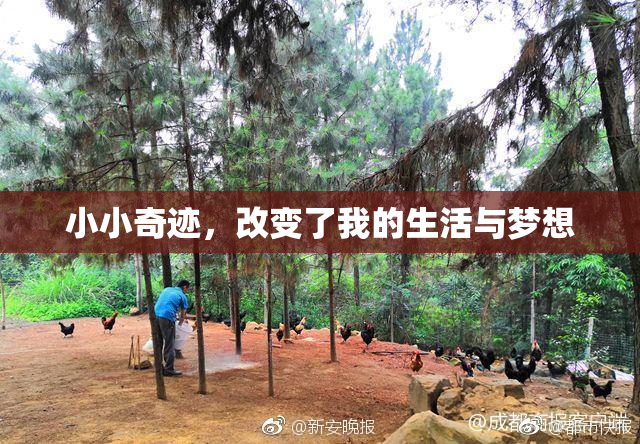 小小奇迹，改变了我的生活与梦想