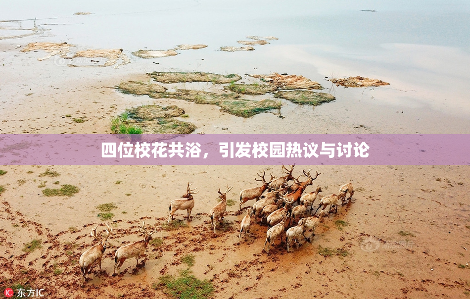 四位校花共浴，引发校园热议与讨论