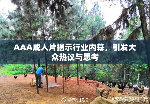 AAA成人片揭示行业内幕，引发大众热议与思考