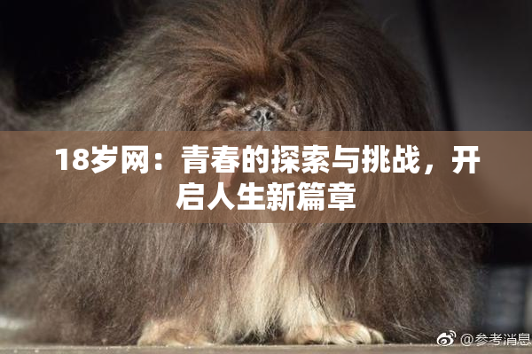18岁网：青春的探索与挑战，开启人生新篇章