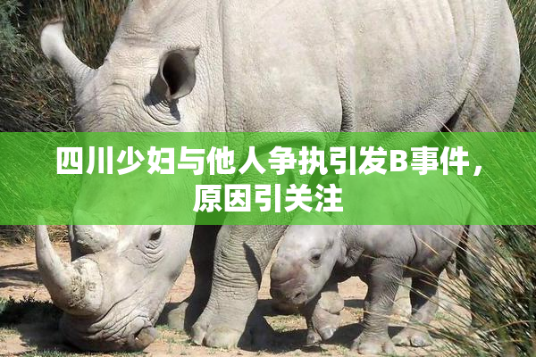 四川少妇与他人争执引发B事件，原因引关注