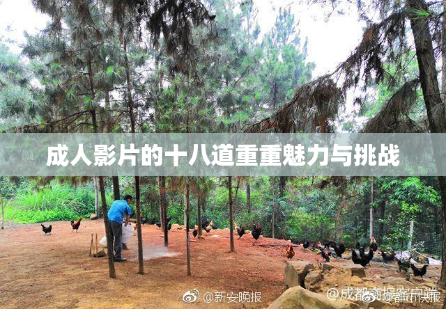 成人影片的十八道重重魅力与挑战