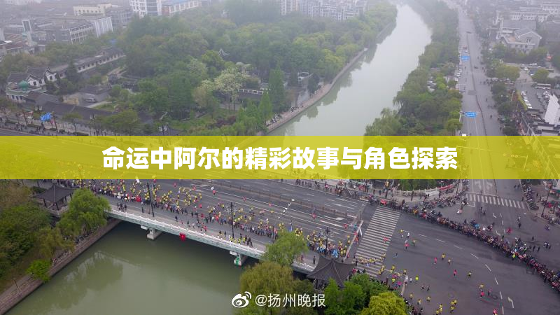 命运中阿尔的精彩故事与角色探索