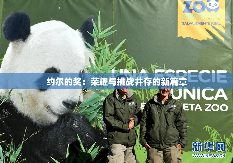 约尔的奖：荣耀与挑战并存的新篇章