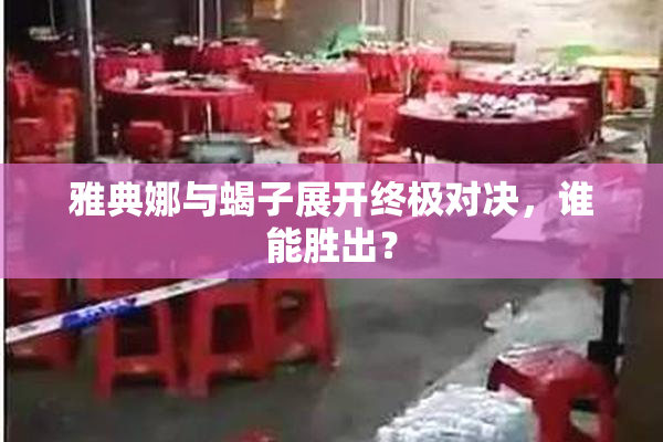 雅典娜与蝎子展开终极对决，谁能胜出？