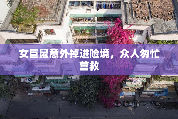 女巨鼠意外掉进险境，众人匆忙营救