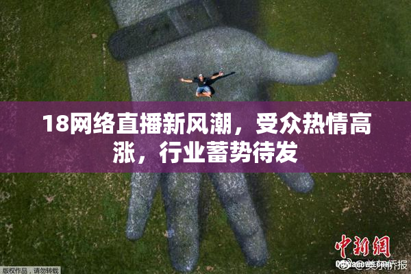 18网络直播新风潮，受众热情高涨，行业蓄势待发