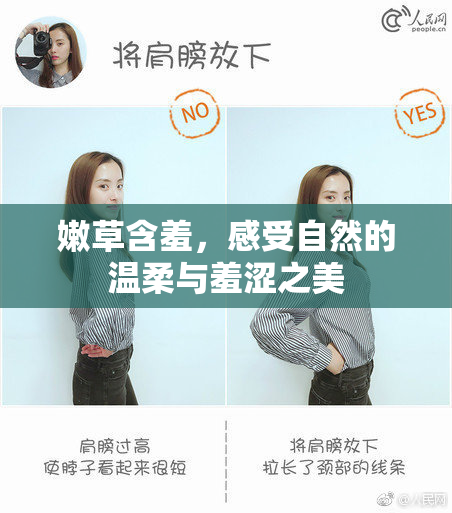 嫩草含羞，感受自然的温柔与羞涩之美