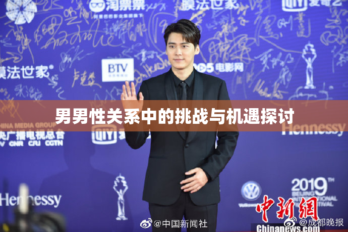 男男性关系中的挑战与机遇探讨