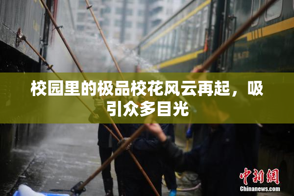 校园里的极品校花风云再起，吸引众多目光