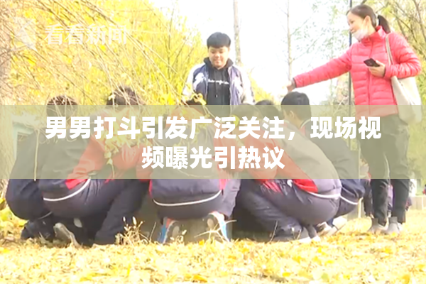 男男打斗引发广泛关注，现场视频曝光引热议