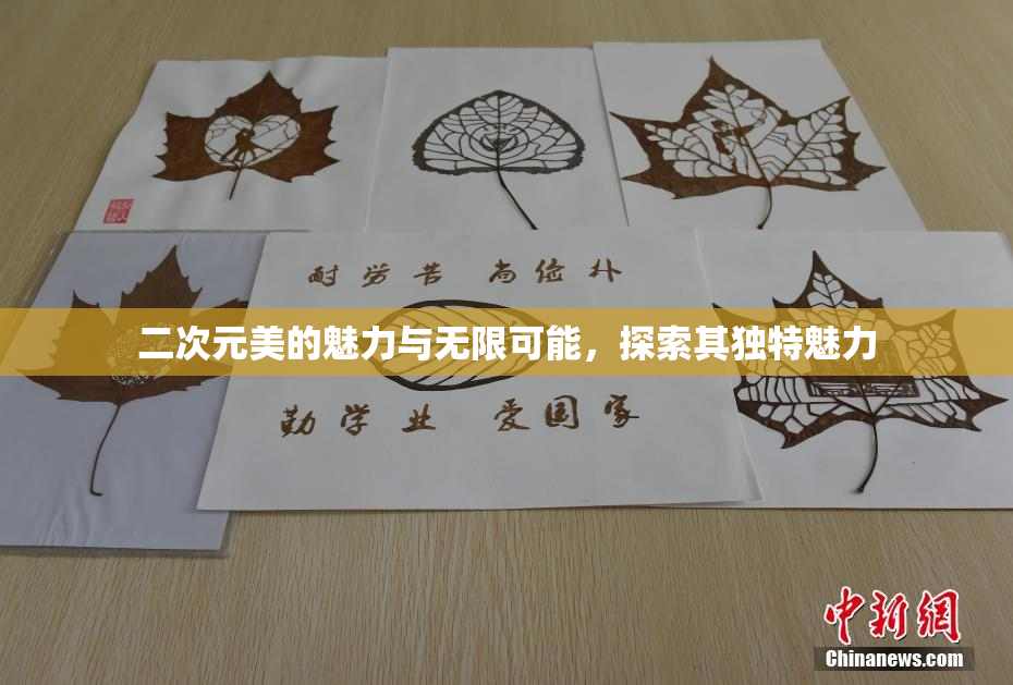 二次元美的魅力与无限可能，探索其独特魅力