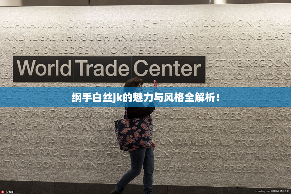 纲手白丝jk的魅力与风格全解析！