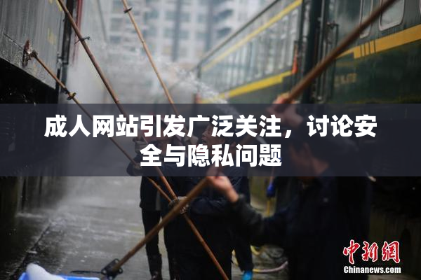 成人网站引发广泛关注，讨论安全与隐私问题