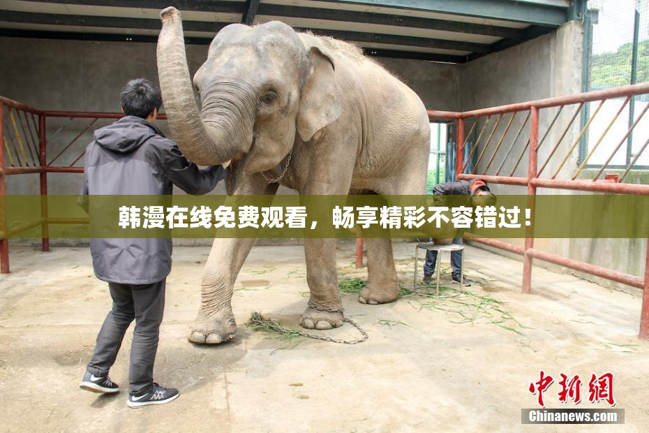 韩漫在线免费观看，畅享精彩不容错过！