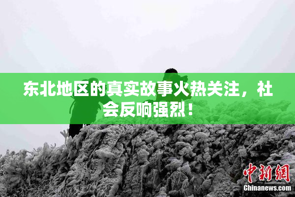 东北地区的真实故事火热关注，社会反响强烈！