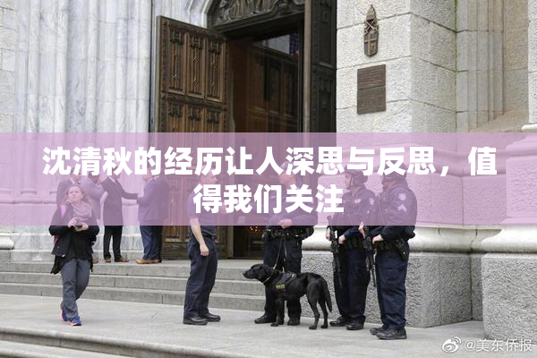 沈清秋的经历让人深思与反思，值得我们关注