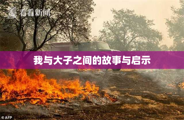 我与大子之间的故事与启示