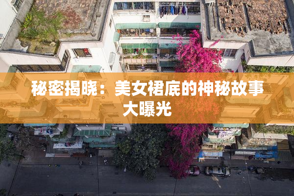 秘密揭晓：美女裙底的神秘故事大曝光