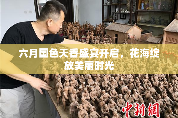 六月国色天香盛宴开启，花海绽放美丽时光