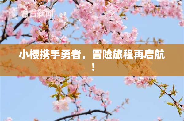 小樱携手勇者，冒险旅程再启航！