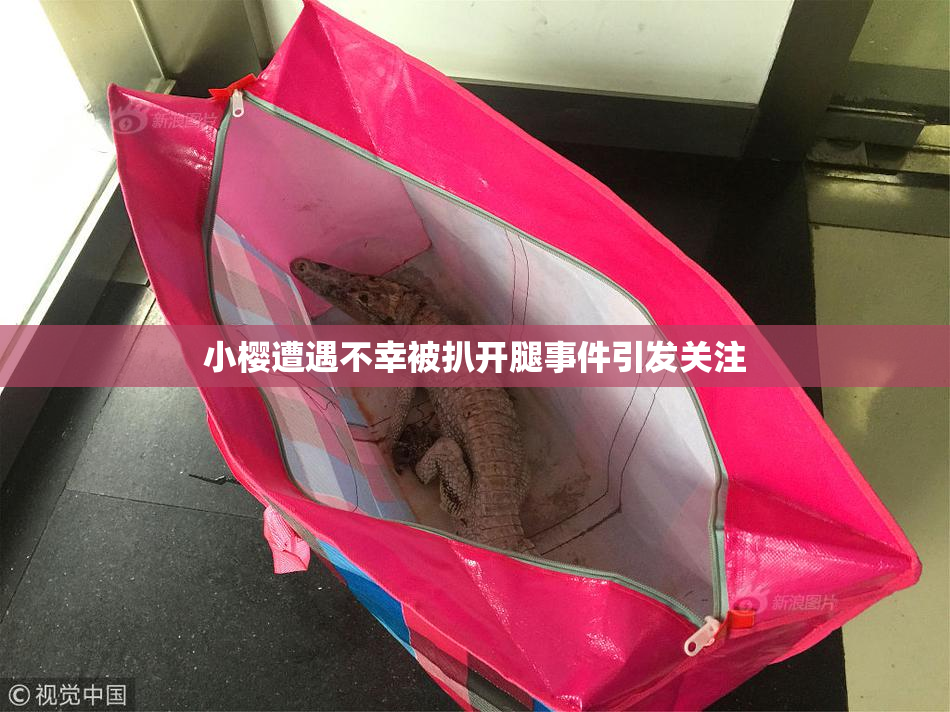 小樱遭遇不幸被扒开腿事件引发关注