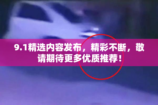 9.1精选内容发布，精彩不断，敬请期待更多优质推荐！