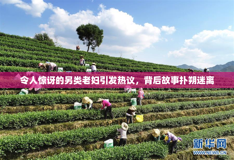 令人惊讶的另类老妇引发热议，背后故事扑朔迷离