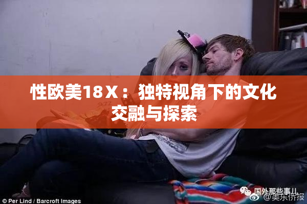 性欧美18Ⅹ：独特视角下的文化交融与探索