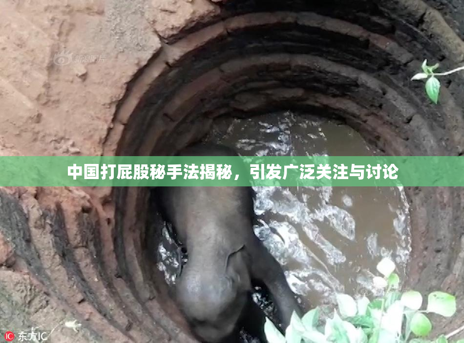 中国打屁股秘手法揭秘，引发广泛关注与讨论