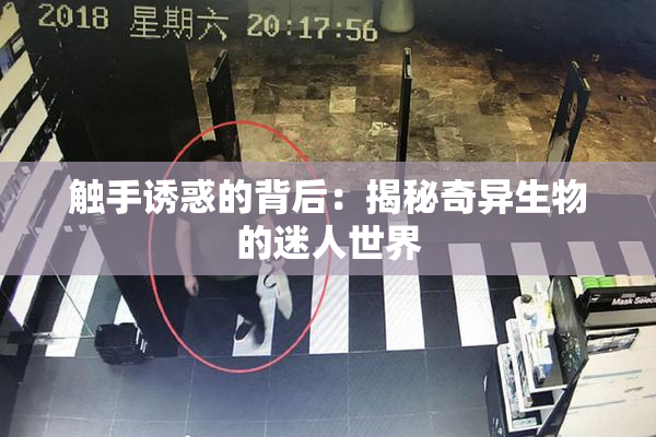 触手诱惑的背后：揭秘奇异生物的迷人世界